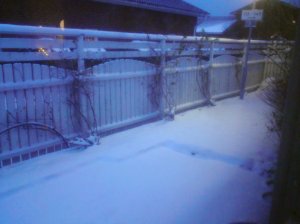 4191762931_fcdde373e7_o